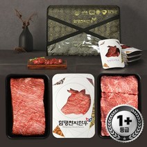 [KT알파쇼핑]함평천지한우 1+등급 정육 선물세트 25호(불고기/국거리1.2kg)