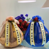 한가득팜심플 과일바구니 과일선물세트 예단 이바지 출산 병문안 선물 -인증