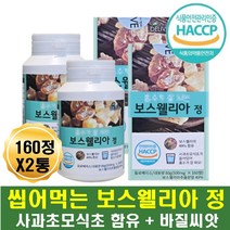 중년 여성 남성 씹어먹는 보스웰리아 정제형 사과초모식초 함유 가루날림없는 간편한 정타입 보스웰릭산 페놀 테르펜 아미노산 함유 보스웰리아추출분말 보스벨리아