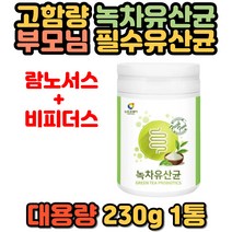 녹차 프로바이오틱스 플란타룸 김치 유래 유산균 락토바실러스 람노서스 비피덤 비피더스균 퍼멘텀 프락토올리고당 성인 여성 가루 분말 대용량 멀티 명품 중년 장년 노년 추천