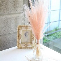 아트박스/더봄 뮬리그라스(3color 프리저브드), 크라우드핑크