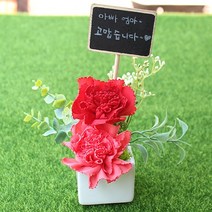 [Her1088] 두송이 카네이션의 모던화분 카네이션꽃바구니 카네이션선물 어버이날 부모님선물, 1.레드+오렌지핑크