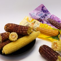 바로 먹는 국내산 삶은 찰_흑찰옥수수 노랑옥수수 강원도찰옥수수 곡성흑찰옥수수 삶은옥수수 진공포장, 노랑옥수수(더블) 5개
