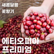 스페셜티 에티오피아 프리미엄 블랜드 (원두 커피 200g 500g) 코케허니 아바야게이샤 G1, 원두 그대로(홀빈)