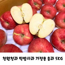 청원청과 딱밤사과 사과 과일선물세트 청송사과 5kg, 쿠팡 1, 쿠팡 본상품선택