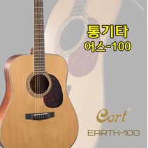 콜트 어스100 / Earth100 / 입문용 탑솔리드 기타