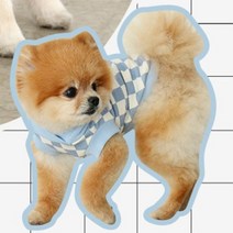 [도그포즈]체스 데일리 후디(블루) 427455, P0000YCD000A