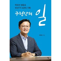 구청장의 일:탁트인 영등포 민선7기 4년의 기록, 채현일 저, 더봄