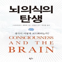 NSB9788955968071 새책-스테이책터 [뇌의식의 탄생] -생각이 어떻게 코드화되는가?--한언출판사-스타니슬라스 드앤 지음 박인용 옮김 김영보, 뇌의식의 탄생, 한언출판사