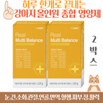 강아지 종합영양제 올인원영양제 반려견 소형견 중형견 대형견 애견 종합 영양제 멀티 비타민, 2박스 2개월