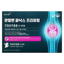 영진 관절엔파낙스 프리미엄120정(2개월)전칠삼추출물
