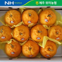 [위미농협] 제주 위미농협 레드향 3kg(10-15과)
