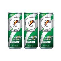 게토레이 240ml 60캔
