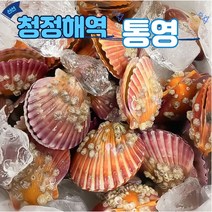 산지직송 통영 청정해역 제철 가리비 찜 가리비구이, 2kg