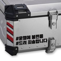 LINE CUT 오토바이 알루미늄 탑박스 배달통 문구스티커 데칼 BDT-0005, L, 홀로그램