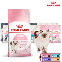 로얄캐닌 캣 키튼 2kg 자묘 생후 5개월~12개월까지의 어린 반려묘 간식2종&보관팩증정, 간식/지퍼백등 증정, 2024.05