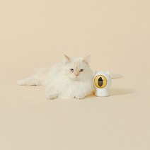 페페 스마트 레이저 캣토이 반려동물 장난감, 단품