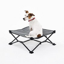 Coolaroo On The Go 높은 반려동물 침대 라지 데저트 샌드, Grey, Grey