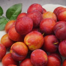 새콤달콤 햇 자두 노지자두 경북 경산 대석자두, 대석자두 2kg(중, 25~40과), 1개