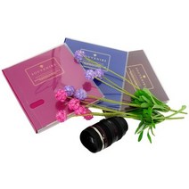 17000 심플칼라앨범, 초코, 1개, 15매