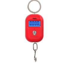 크레인 저울 산업용 휴대용 미니 벽걸이 정밀 전자 디지털 규모 50Kg 5g 무게 포켓, 빨간