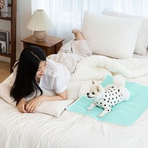 루플리 에코패드 빨아쓰는 배변패드 친환경 강아지 L 1장, 색상:아이보리