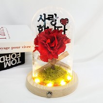 LED 레터링 카네이션 유리돔 무드등 DIY 키트 재료 만들기 어버이날 부모님 스승의날 선물, 단품