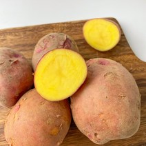 햇 홍감자 카스테라감자 보성 2kg 3kg 5kg, 홍감자 5kg/왕특/190~240g 내외
