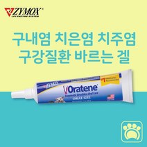 강아지 고양이 구내염 치주염 치은염 잇몸염증 바르는 젤, 1개