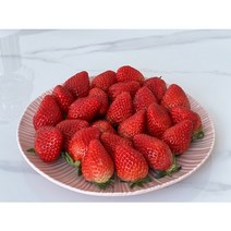 GAP 고당도 논산 설향 딸기, 24구(큰 딸기 700~750g)(고당도)