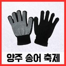 양주송어축제 겨울 낚시 방한 요술장갑