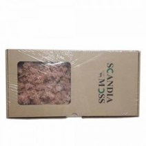 천연이끼 스칸디아모스 피치(150g) - 공기정화 기능 관리쉽고 그늘에서도 잘 자라는 인테리어 식물 취미 원데이 클래스 디퓨저 화분 만들기(4개 이상 주문배송)