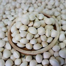 재래종 토종은행2kg 청한농장, 5kg