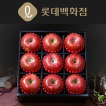햇살아름/GAP인증 햇살아름당 명품 사과 선물세트3.5kg이상(사과9과특)보자기포장/롯데백화점