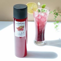 첨가물 없는 수제과일청 오미자청 500g, 단품, 단품