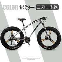팻바이크 입문용 오프로드 MTB 자전거 20 24 26인치, 30단, 실버(3 나이프 휠)