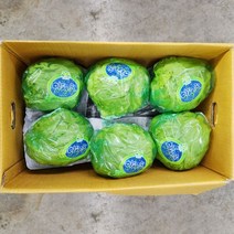 양상추 3통 1.8kg