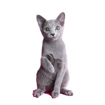 차량용 냉장고 미니 냉온장고 캠핑용 온장고 3Ratels CM29 사랑스러운 고양이 페르시아 Birman Bombay 영국, 13 CM29-14_04 40cm(15.75 inch)