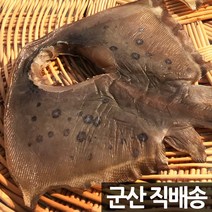 장스토어 반건조 가오리 5미 20cm내외 700g 군산항직송, 1세트, 가오리 (왕특대) 2미 (약 1.6kg)