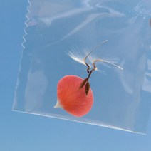 유럽제라늄씨앗 페라고늄 제라늄씨앗 파종키트 리톱스, 투명슬릿분 ＋ 온실뚜껑 ＋ 파종토 ＋ 마사소립