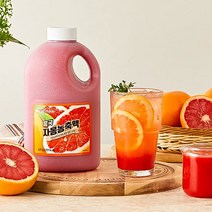 흥국에프앤비 자몽 농축액(아이스포장), 1.5L