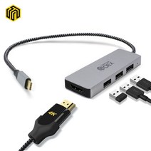 씽크웨이 CORE D32 DEX 4포트 USB 3.1 허브 Type C, Kongs family 본상품선택, Kongs family 본상품선택