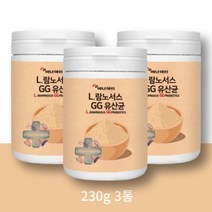 람노스유산균 엘지지유산균 에너데이 락토바실러스 L람노서스 230g, 람노서스LGG3통
