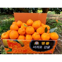 [황금농원]서귀포 고당도 극조생 귤 첫출하 5kg 10kg, 1box, 10kg중대과(L-2L)