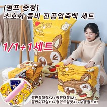 1/1+1세트 [펌프 증정] 의류 압축팩 세트 다용도 이불 의류 진공 압축팩 정리 세트 10개입, 플렛 스타일 B세트 *1+1