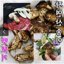 2023년 2등급 자연산 송이버섯 판매, 20개 미만