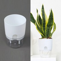 요비월드 자동급수 화분 화이트 10.5X13.5CM 실내조경 사무실화분 까페화분