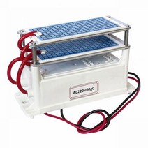 오존발생기 60 그램/시간 h 오존 발생기 O3 Ozonizer 가정용 공기 청정기 살균기 처리 포름 알데히드 220V, 러시아, 60g machine_CHINA