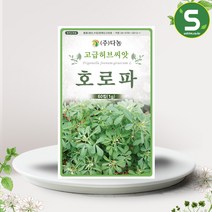 솔림텃밭몰 호로파씨앗 60립 호로파 향낭초 라벤더향두 허브씨앗, 단품