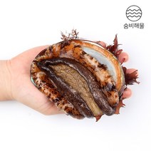 거제도 해녀 특대 자연산 전복 1kg, 1kg 7~8미, 고급실크보자기 포장